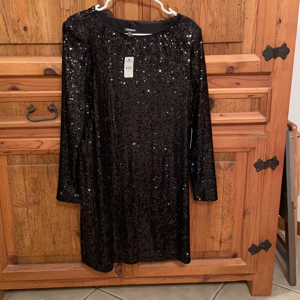 Express Sequin Dress